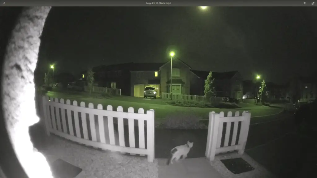 Ring Doorbell Pro capturing a cat ExpertDecider